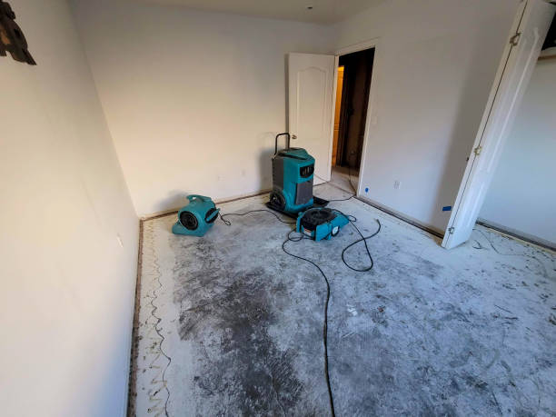 Best 24-hour water damage restoration  in Old Greenwich, CT