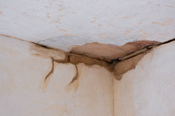 Best Carpet water damage restoration  in Old Greenwich, CT