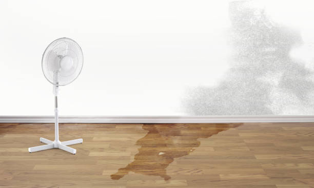 Best Water damage restoration process  in Old Greenwich, CT