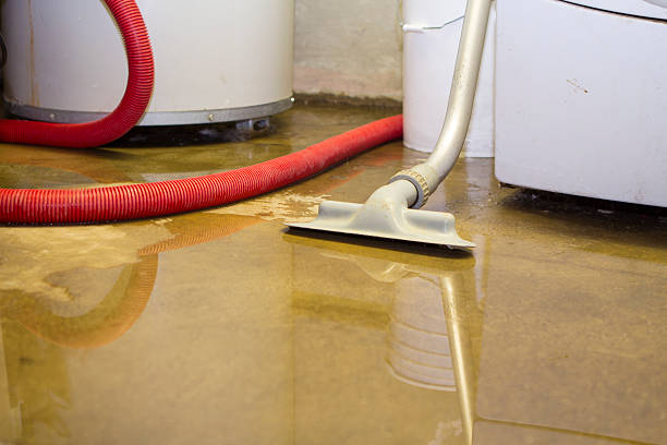 Best Professional water damage repair  in Old Greenwich, CT